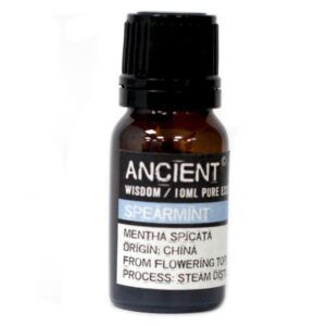 Ancient Spearmint eeterlikud õlid 10 ml
