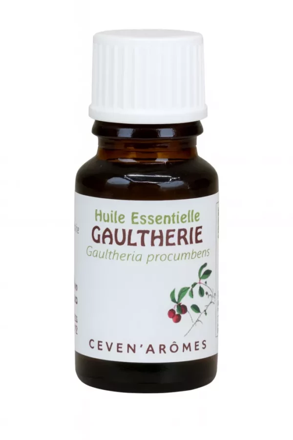 Wintergreen eeterlik oli Wintergreen eeterlik õli aromateraapiaks 20 ml