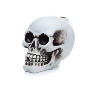 Viirukihoidja Backflow Skull