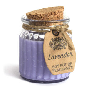 Sojavahast küünlad Lavender