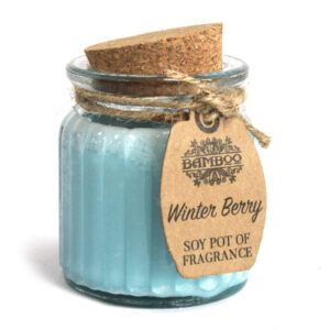 Sojavahast küünlad Winter Berry