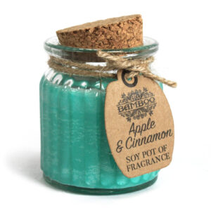 Sojavahast küünlad Apple and Cinnamon