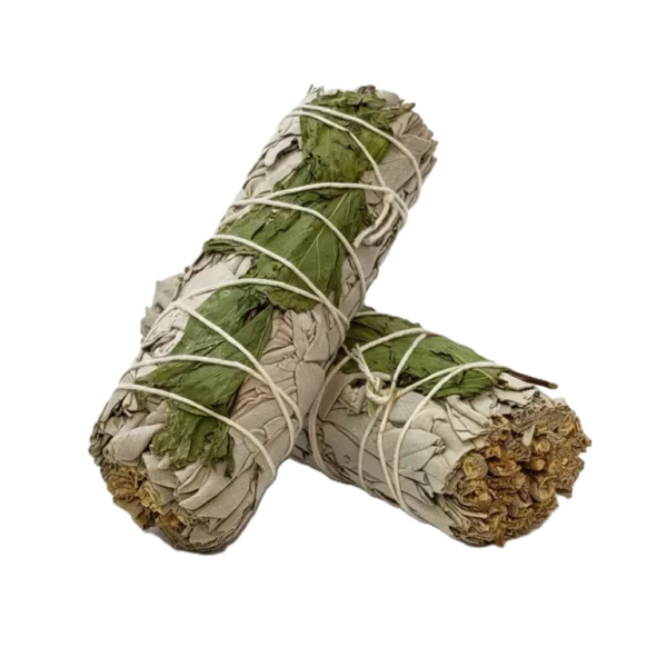 Valge salvei ja piparmünt – suitsutuskimp (umbes 10 cm, 30 g) Valge salvei ja piparmünt looduslikus suitsutuskimbus, pikkus umbes 10 cm ja kaalub ligikaudu 30 g